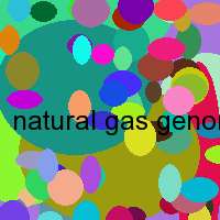 natural gas genoraters