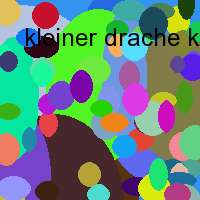 kleiner drache kokosnuss